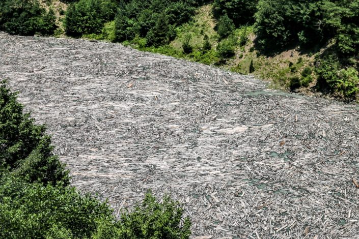 Abertausende von Holzstämmen auf dem Enguri Dam