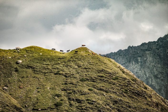 Die Berge um Stepanzminda